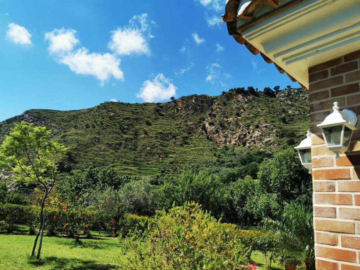 Il Mandorlo Villa Amantea Exteriör bild