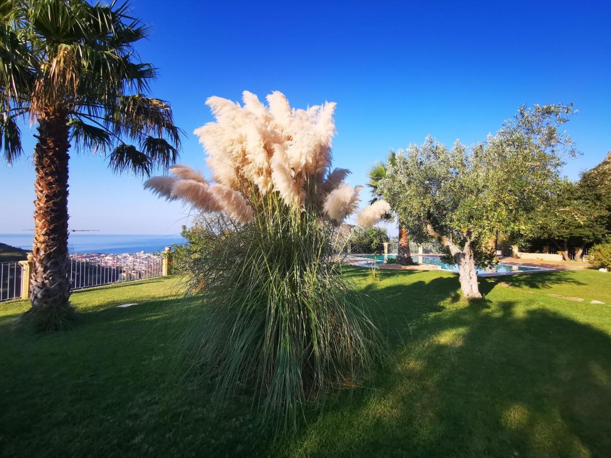 Il Mandorlo Villa Amantea Exteriör bild