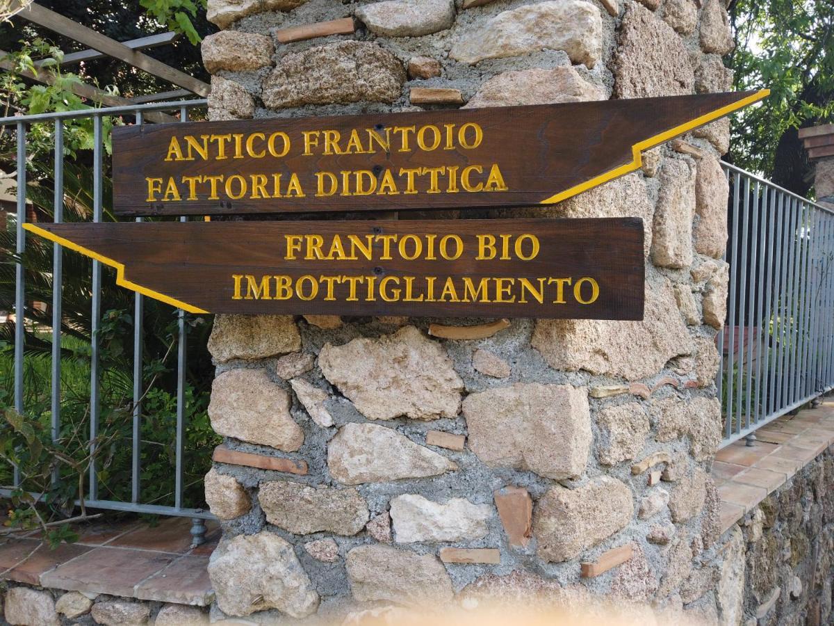 Il Mandorlo Villa Amantea Exteriör bild