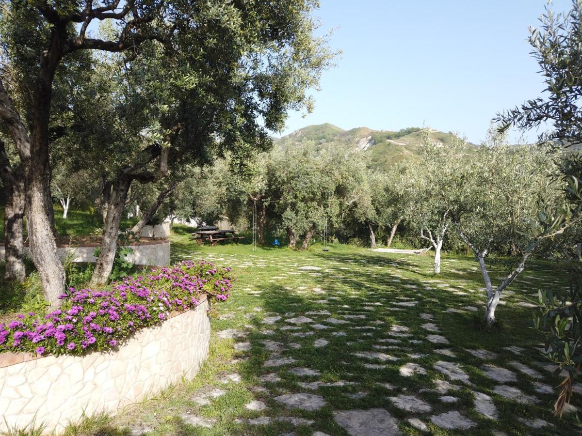 Il Mandorlo Villa Amantea Exteriör bild