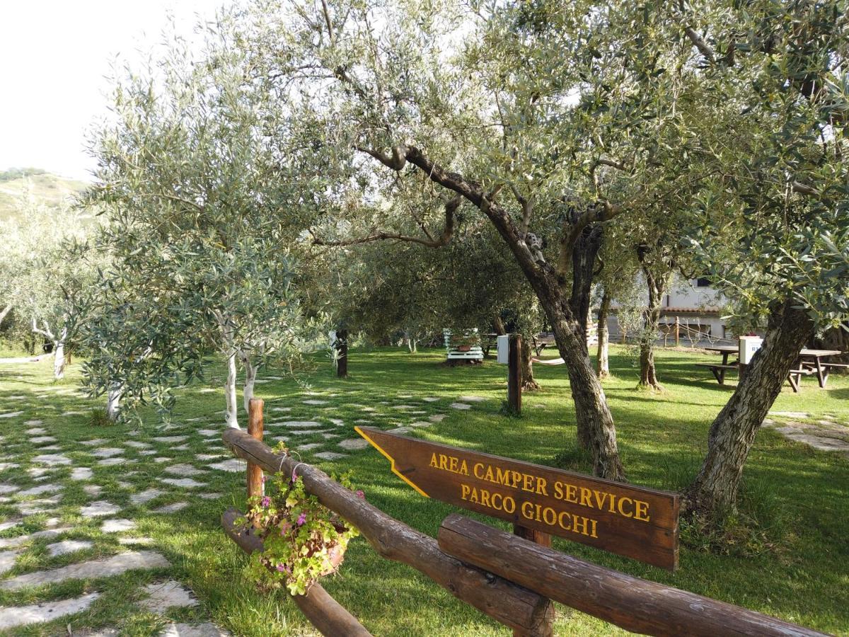 Il Mandorlo Villa Amantea Exteriör bild
