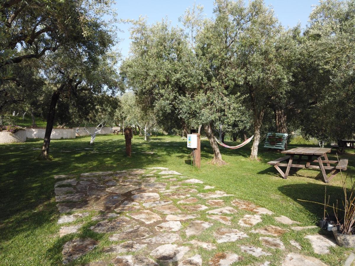 Il Mandorlo Villa Amantea Exteriör bild