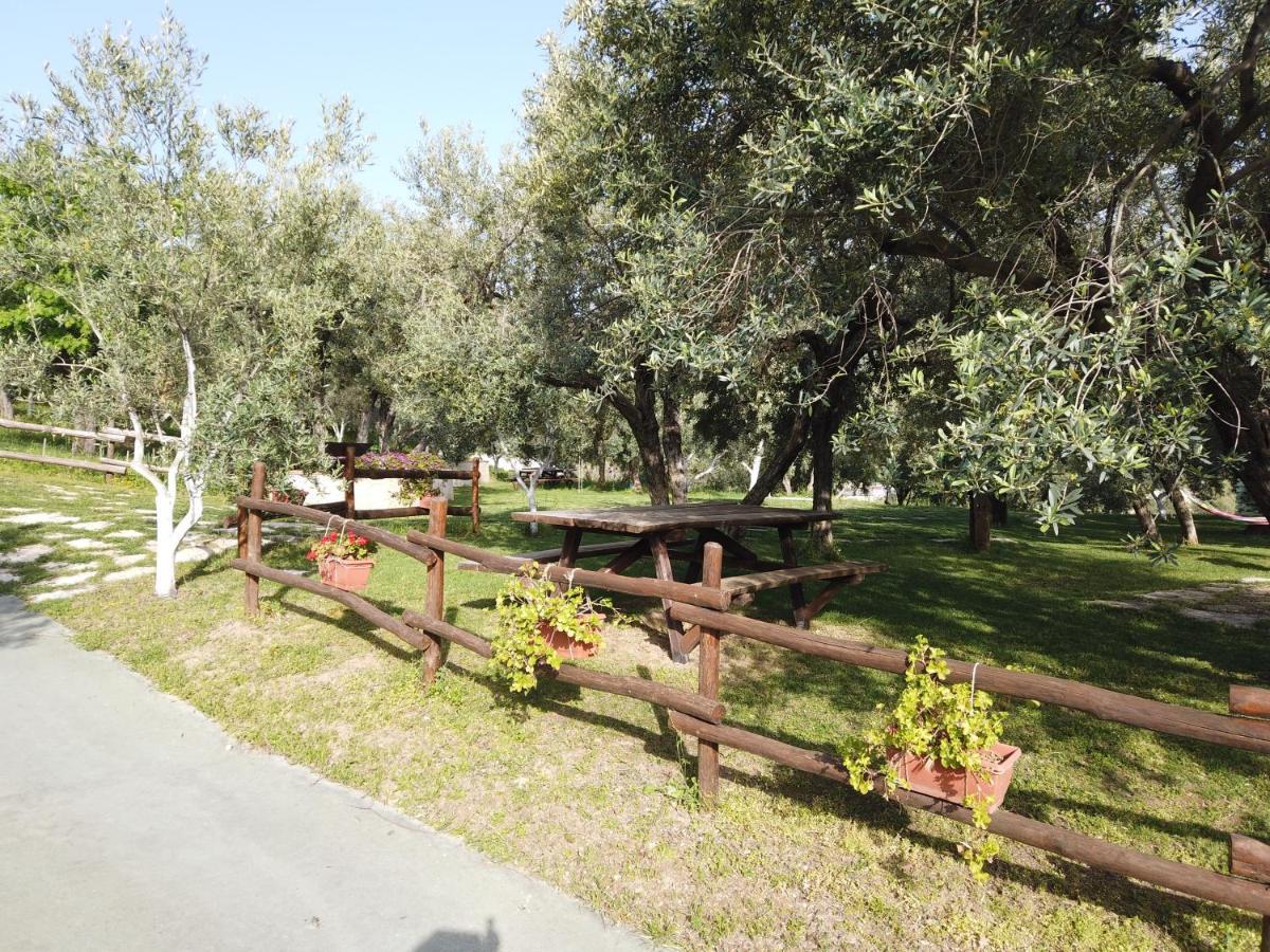 Il Mandorlo Villa Amantea Exteriör bild