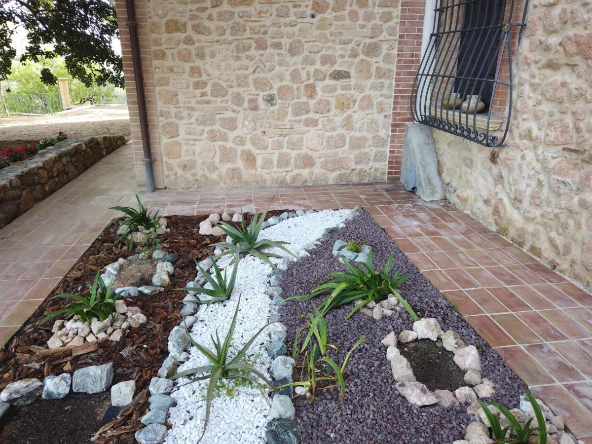 Il Mandorlo Villa Amantea Exteriör bild
