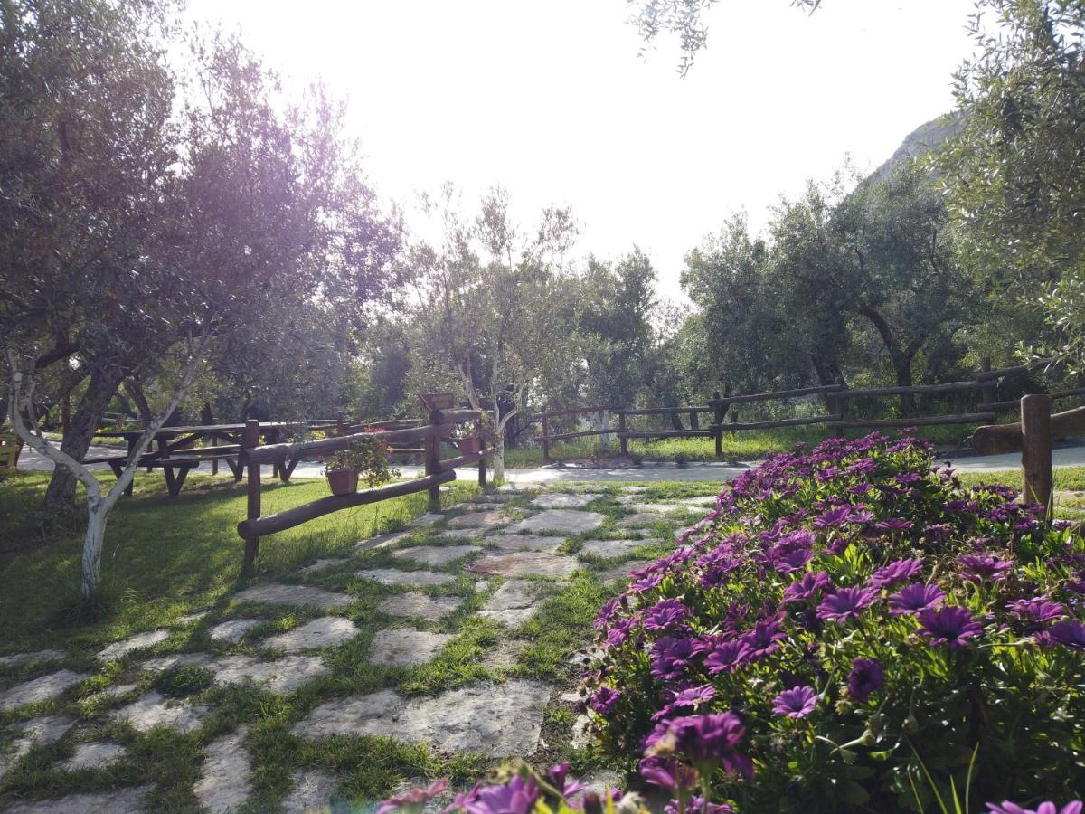 Il Mandorlo Villa Amantea Exteriör bild