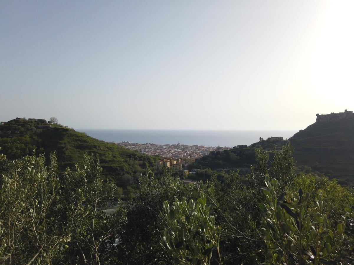 Il Mandorlo Villa Amantea Exteriör bild