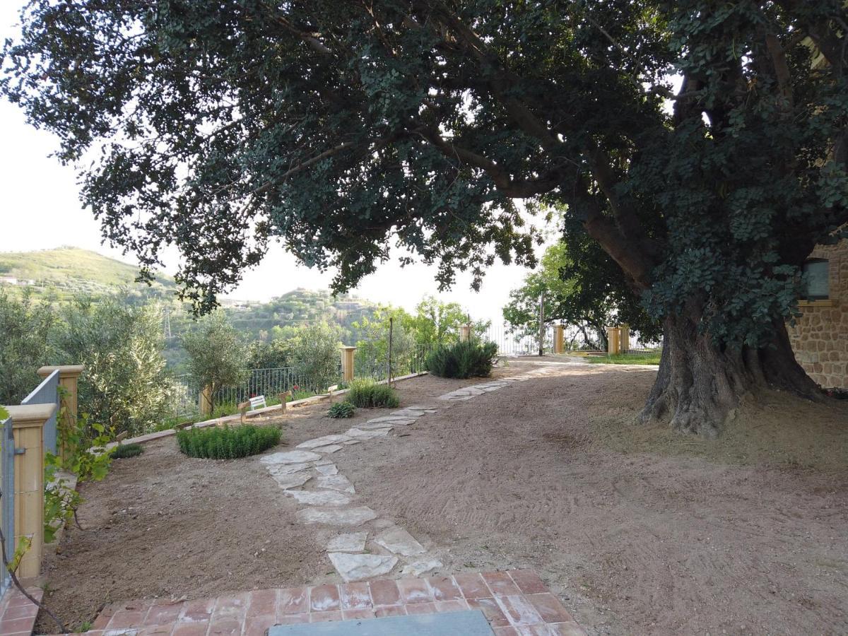 Il Mandorlo Villa Amantea Exteriör bild