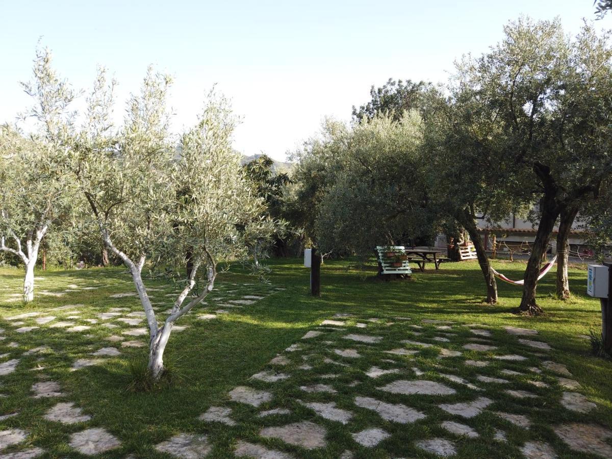 Il Mandorlo Villa Amantea Exteriör bild