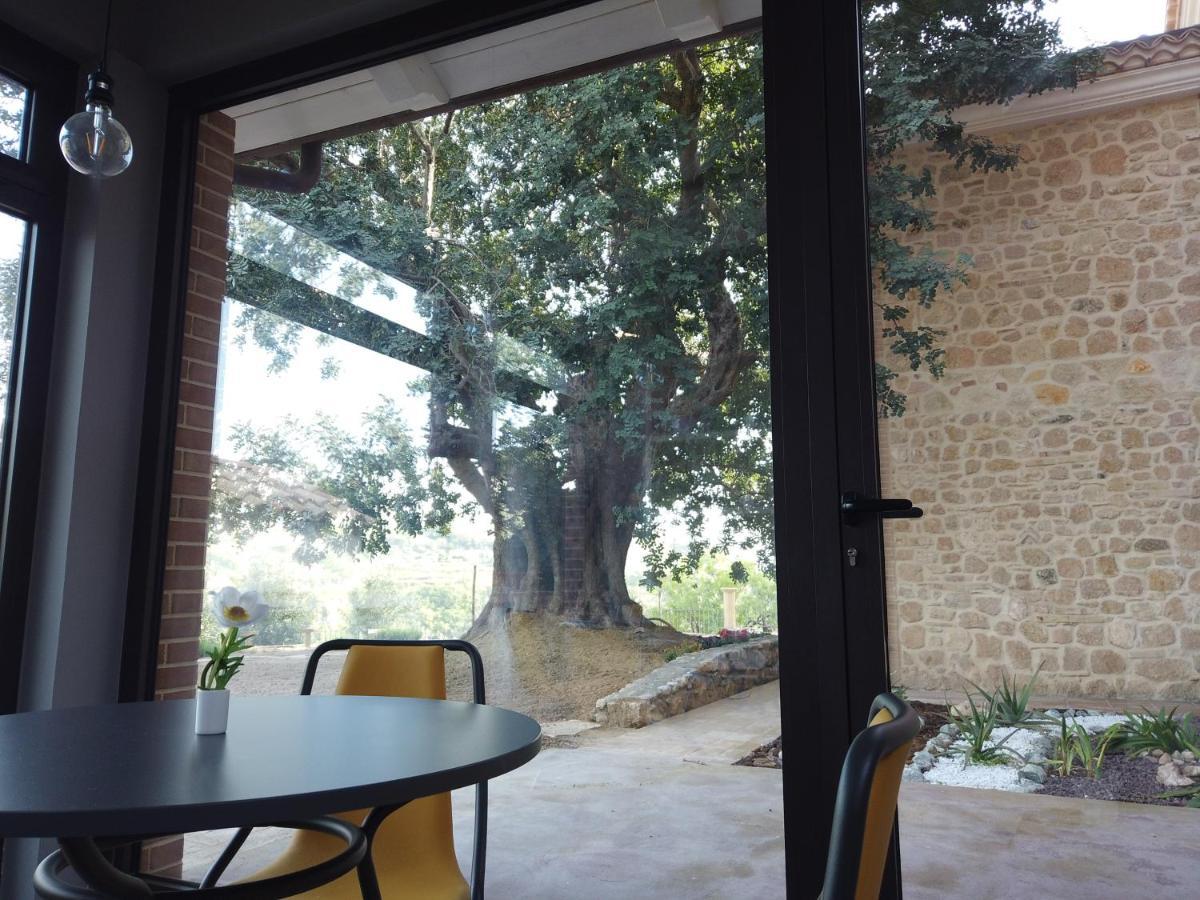 Il Mandorlo Villa Amantea Exteriör bild