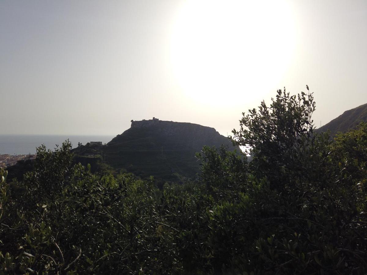 Il Mandorlo Villa Amantea Exteriör bild