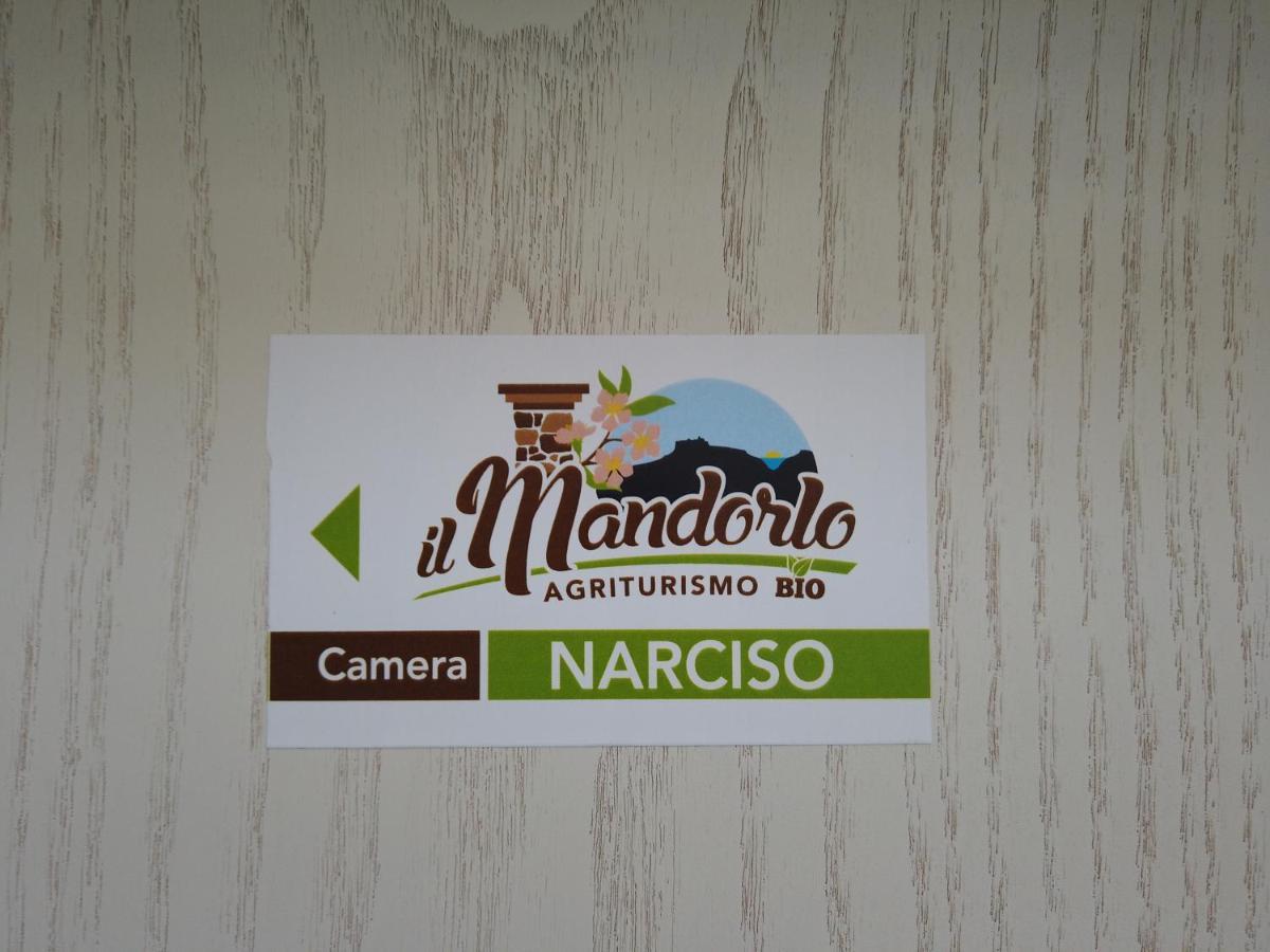 Il Mandorlo Villa Amantea Exteriör bild