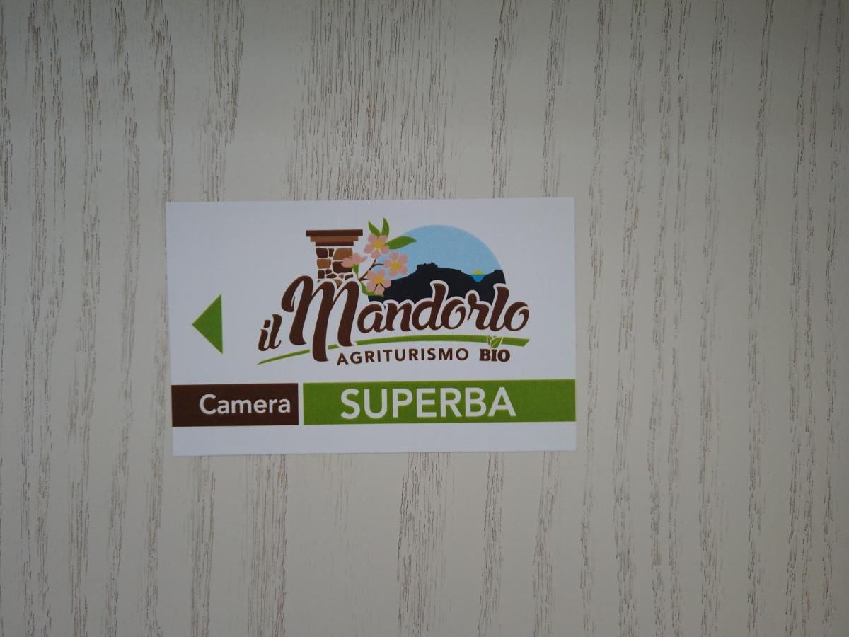 Il Mandorlo Villa Amantea Exteriör bild